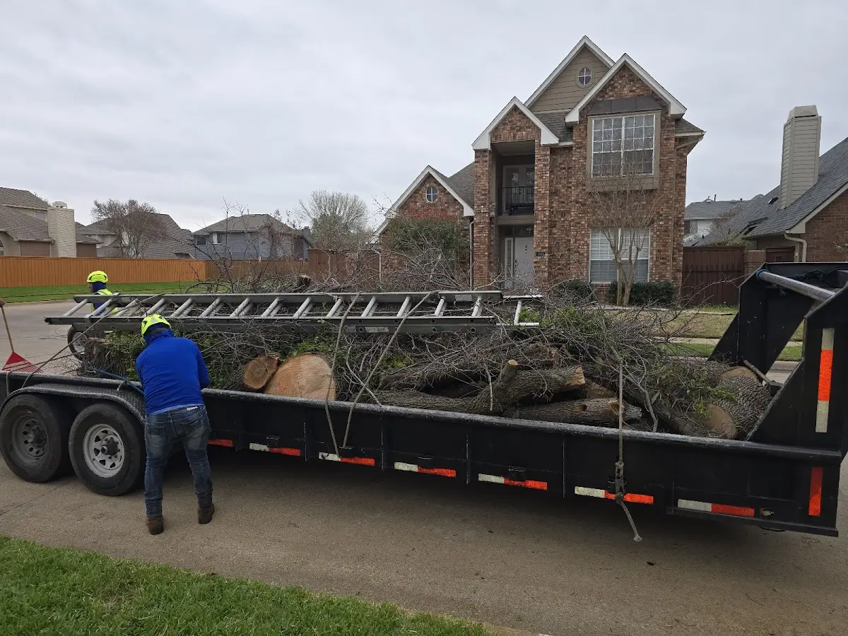 Expert Tree Fertilization with proper safety equipment in Plumville